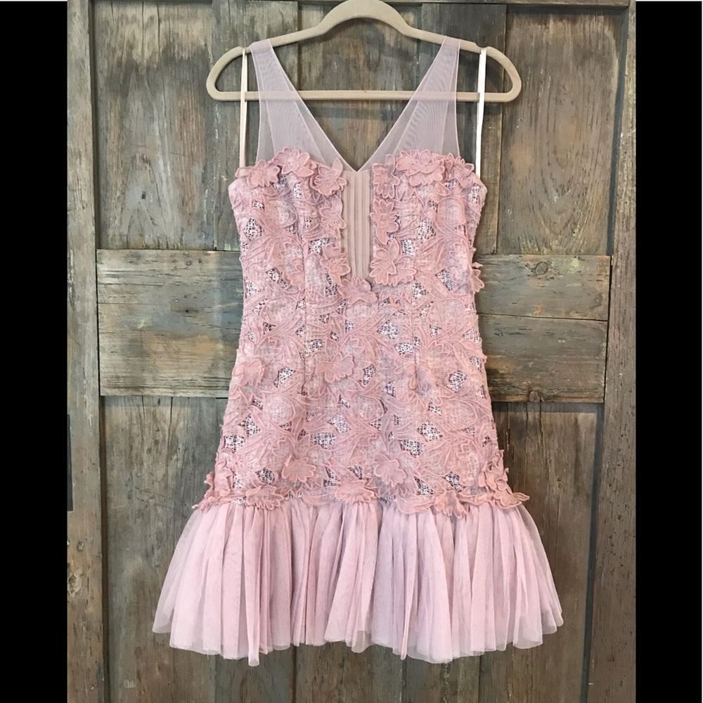 Amazing BCBG Dress